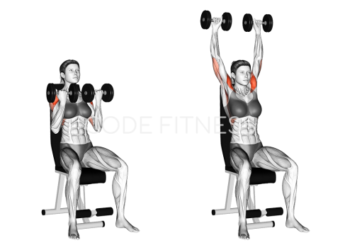 Dumbbell Arnold Press