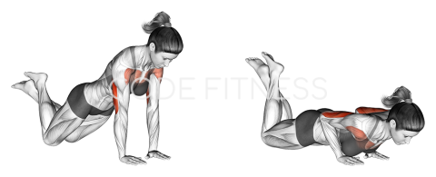 Close grip Push up (on knees)