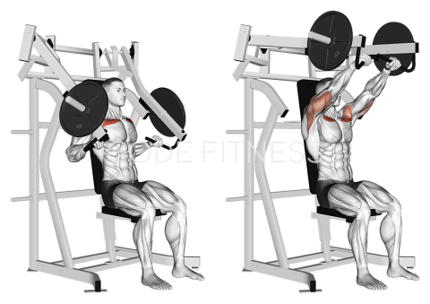 Machine Incline Press