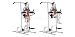 Vertical Leg Raise