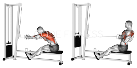 Cable Seated Row