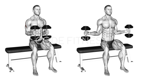 Dumbbell External Rotation