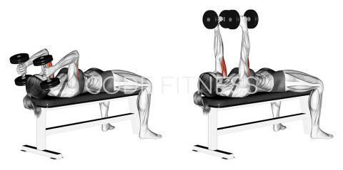 Dumbbell Lying Triceps Extension