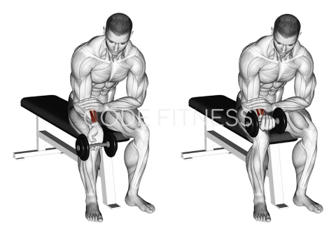 Dumbbell Wrist Curl