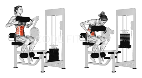 Machine Crunch With Chest Pad