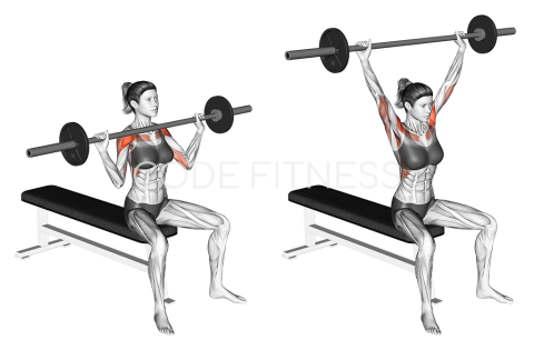 Barbell Shoulder Press