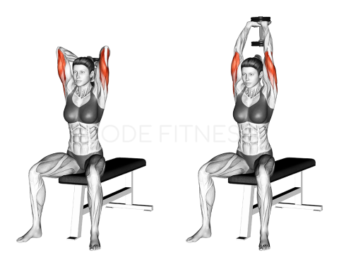 Dumbbell Seated Triceps Press
