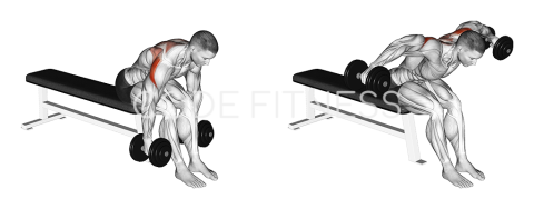 Dumbbell Seated Bent-Over Raise