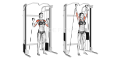 Cable Shoulder Press