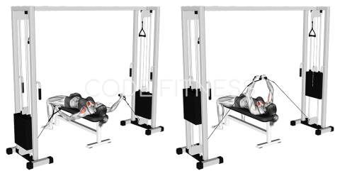 Cable Flat-Bench Fly