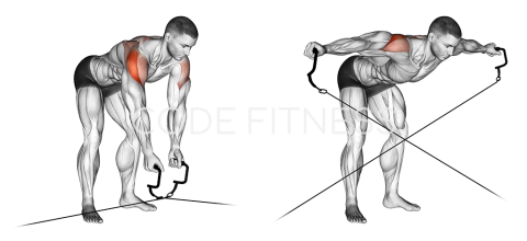 Cable Bent-Over Raise