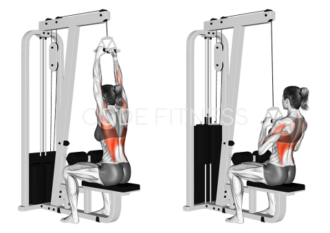 Handlebar Variation (Glose-Grip Pull-Down)