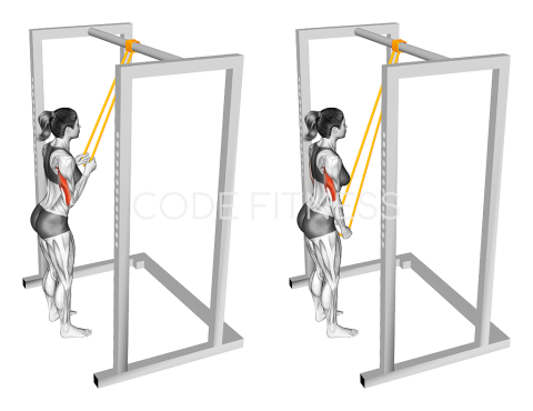 Натискане надолу за трицепс с ластик