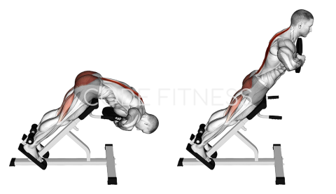 Хиперекстензии с тежест