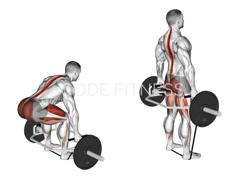 Мъртва тяга с “Trap bar” и ластик