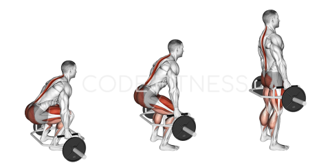 Мъртва тяга с “Trap Bar”