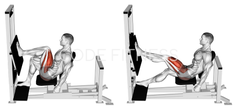 Преси с един крак