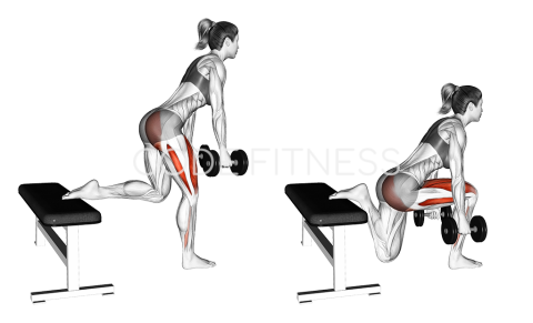 Български клек с дъмбели (Глутеус)